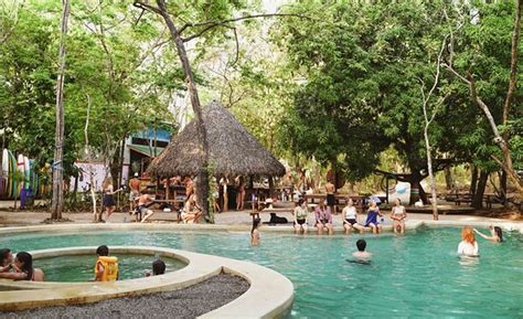 DREAM SEA SURF CAMP (AU$130) .